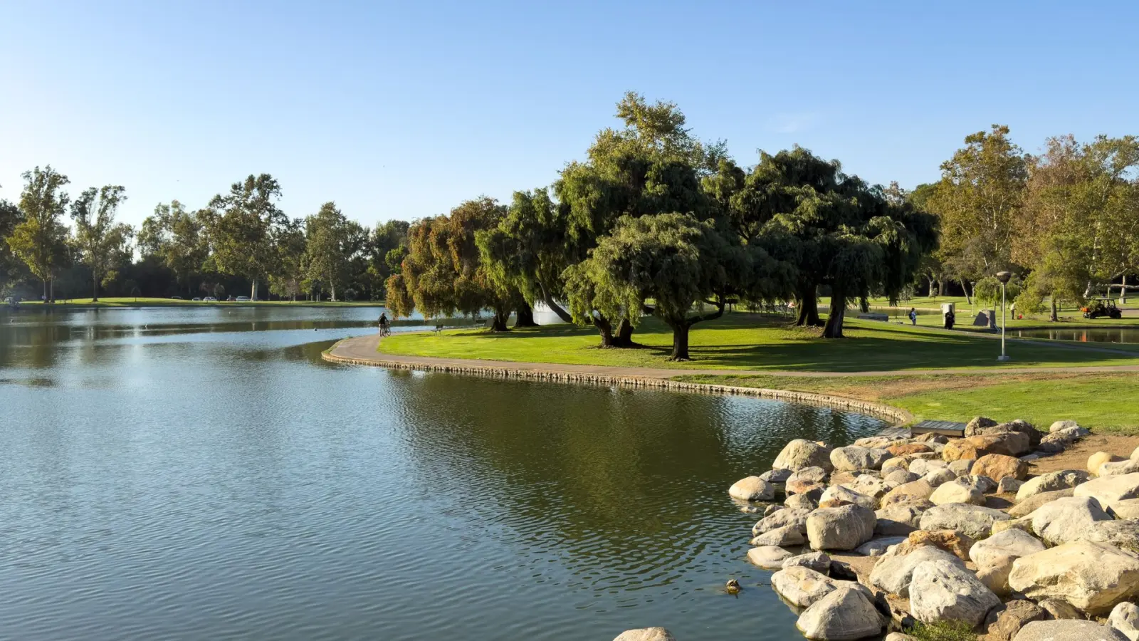 Parque urbano en California con lago, césped y árboles, el tipo de terreno público cuidado con métodos orgánicos.