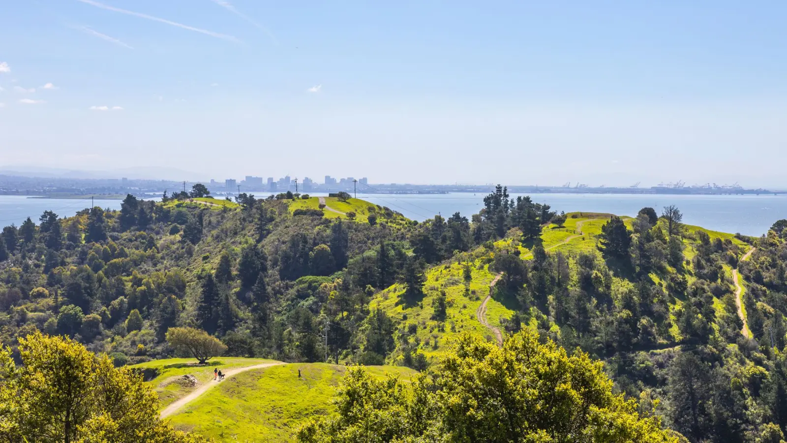 Green Bay Area hills above the bay with a city skyline in the distance, within the East Bay and Marin service area.