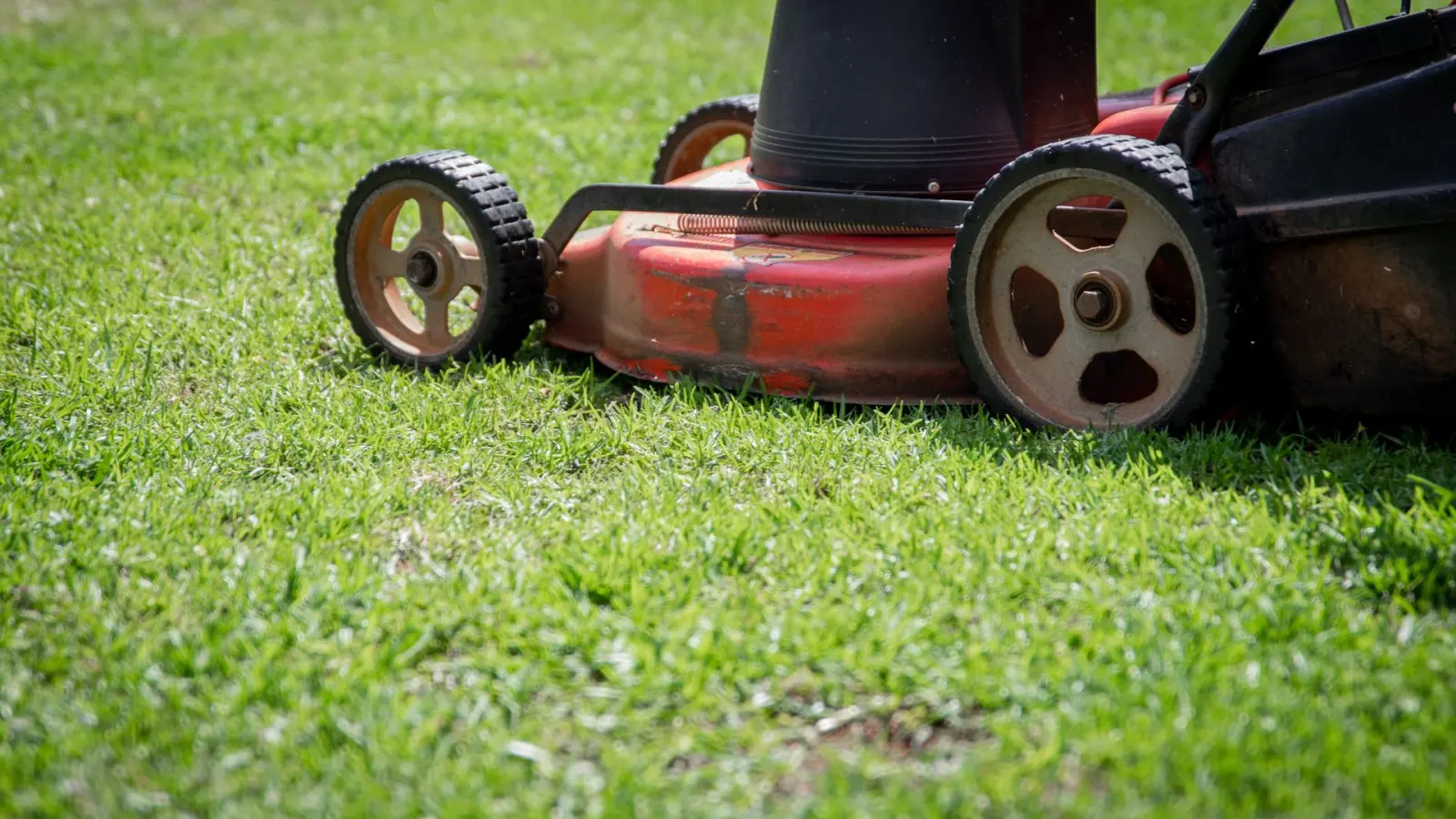 Lawn mower cutting turf at a set height during routine grounds maintenance.