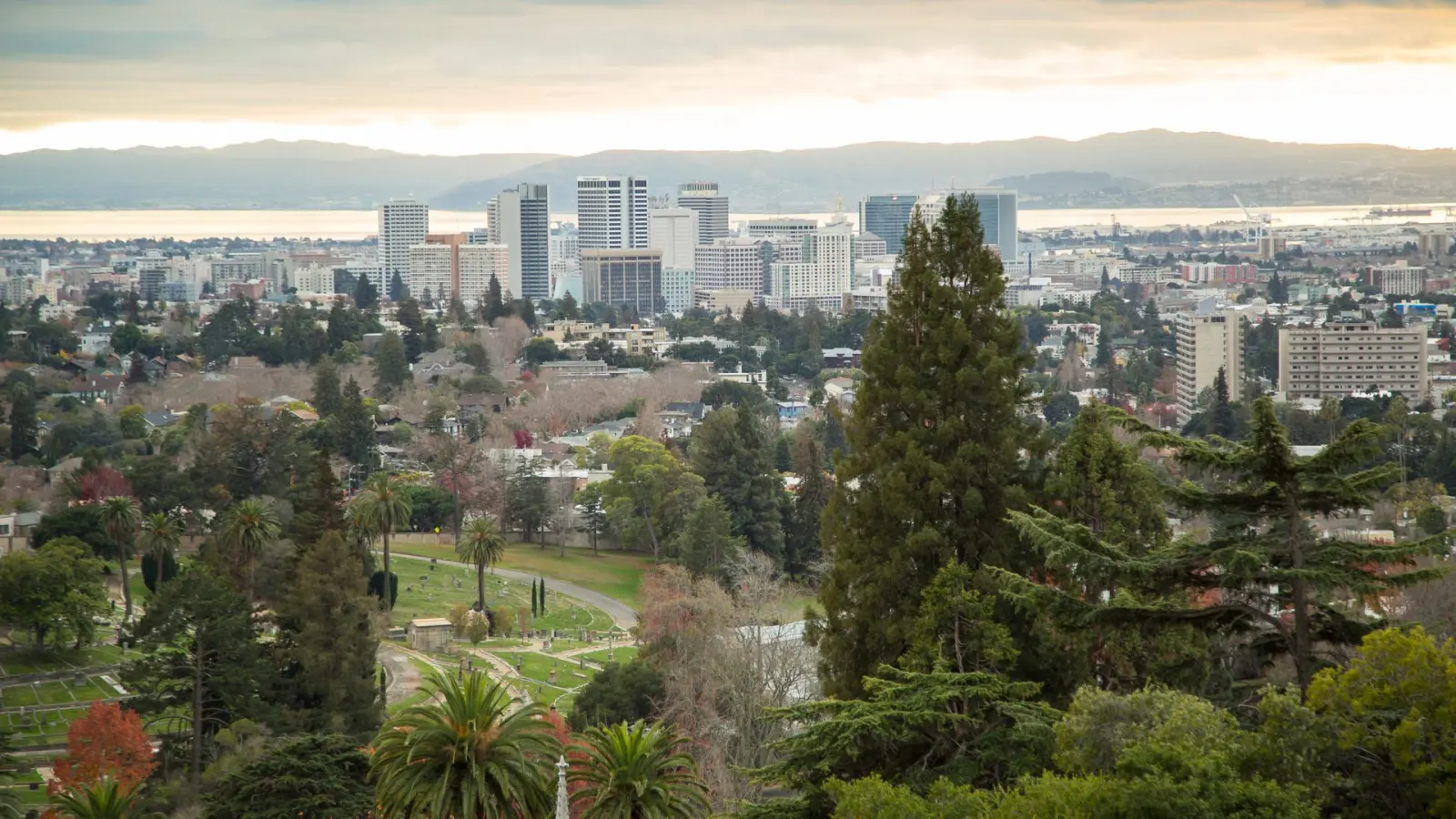 Oakland skyline beyond trees and parkland in the inner East Bay.