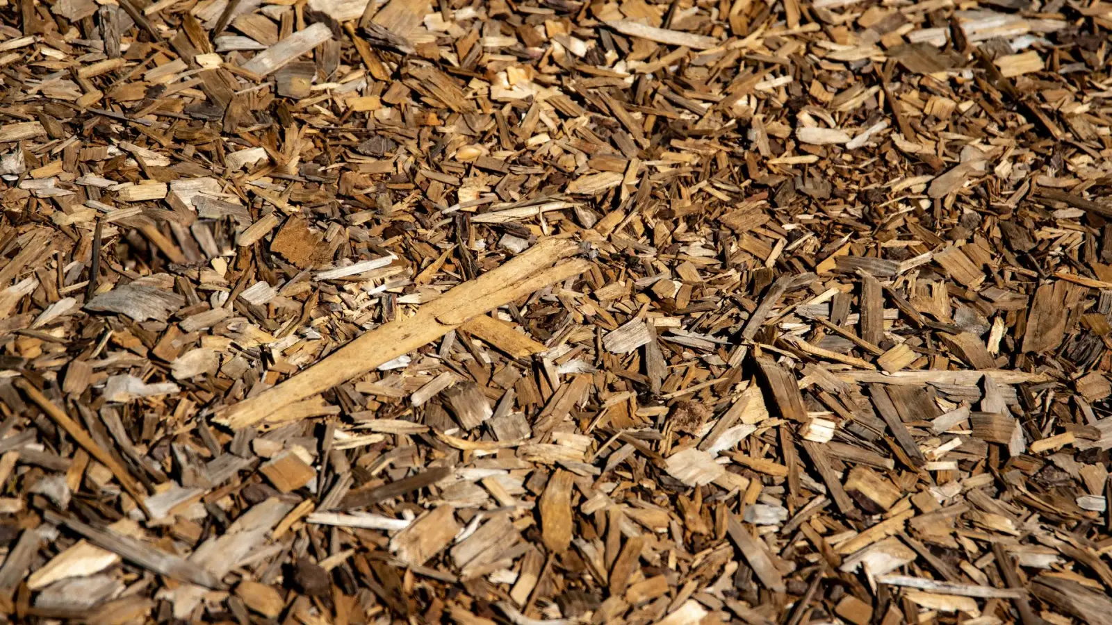 Close-up of bark mulch covering a landscape bed, a core layer of organic weed control.