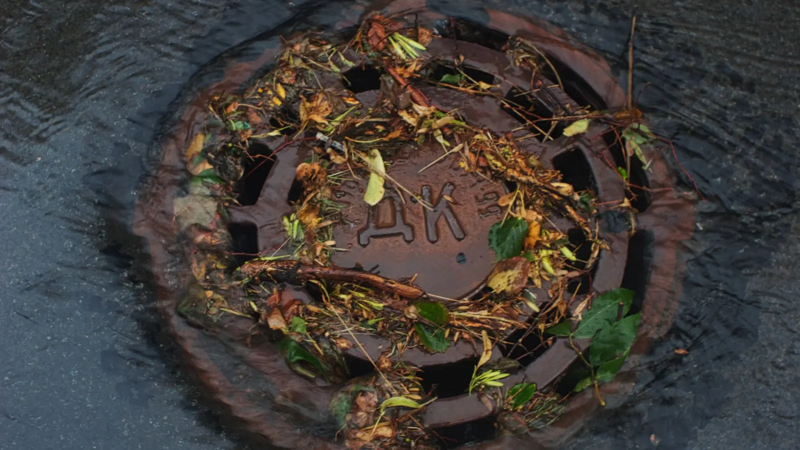 Storm drain covered with leaves and debris, which winterization clears before the wet season.